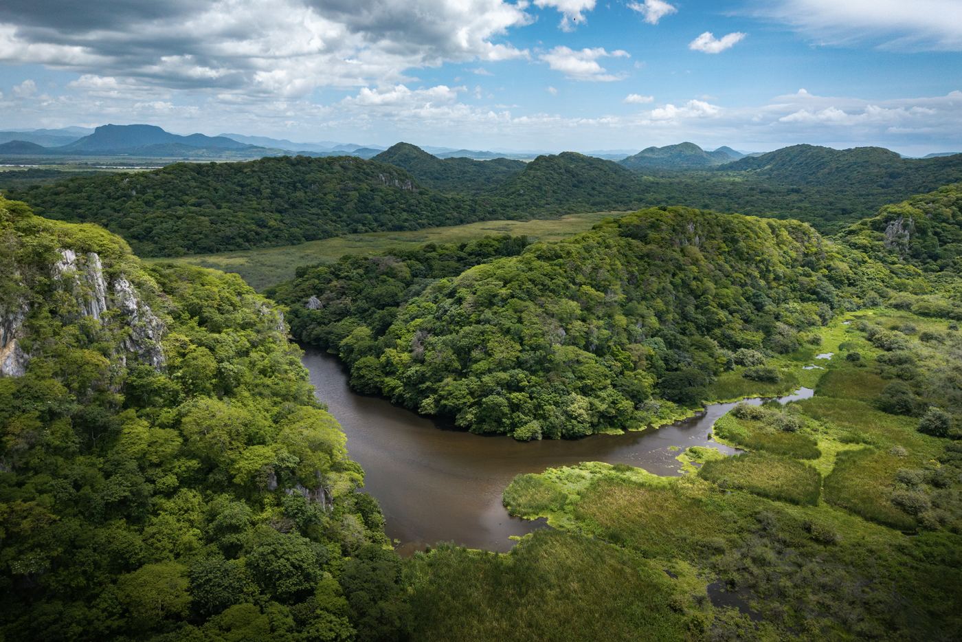 A river winding through forested hills and open wetland in the northwest