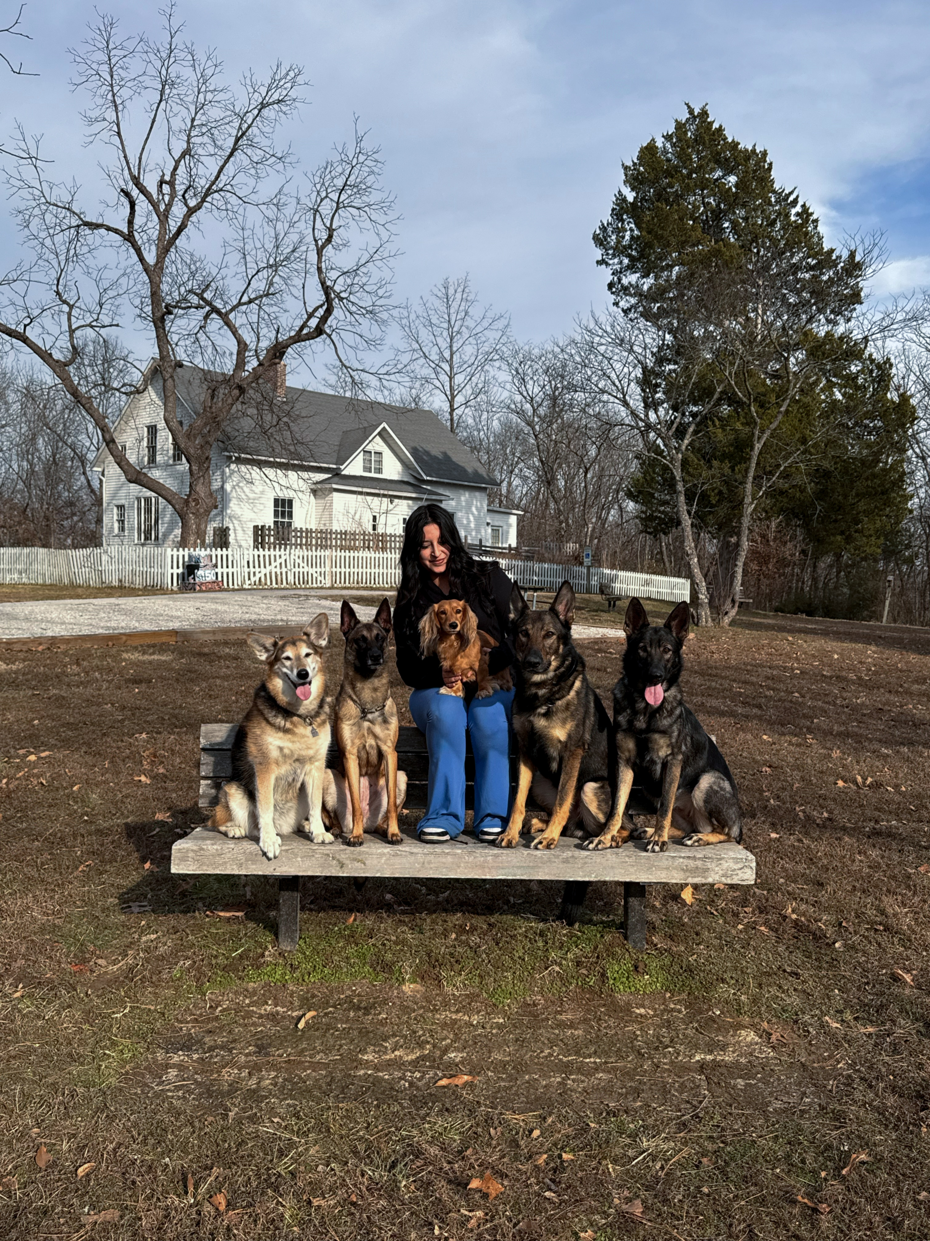 Novko K9 training session