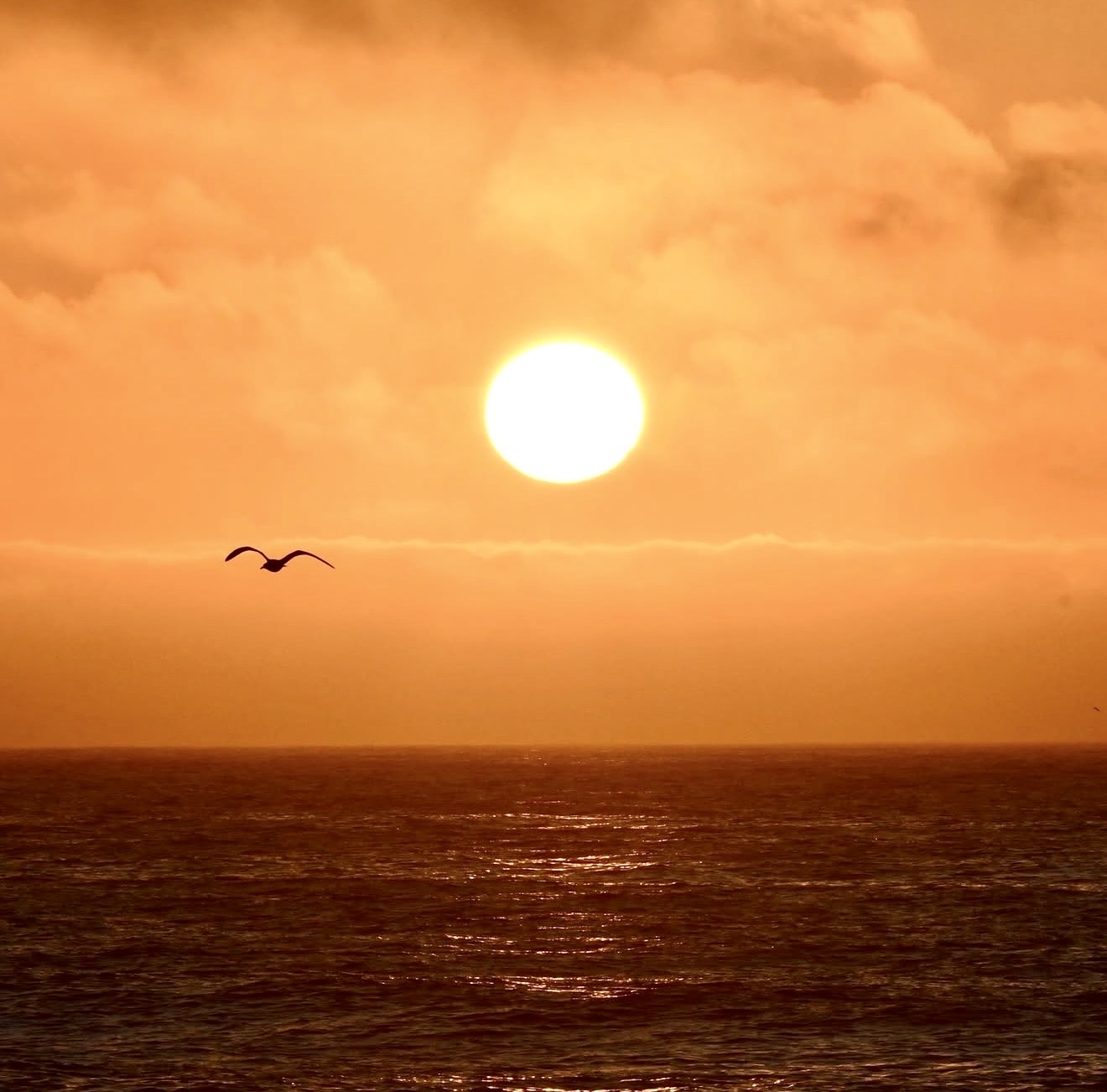 Things To Do in Ocean City, MD | May 3 - May 9, 2026          
