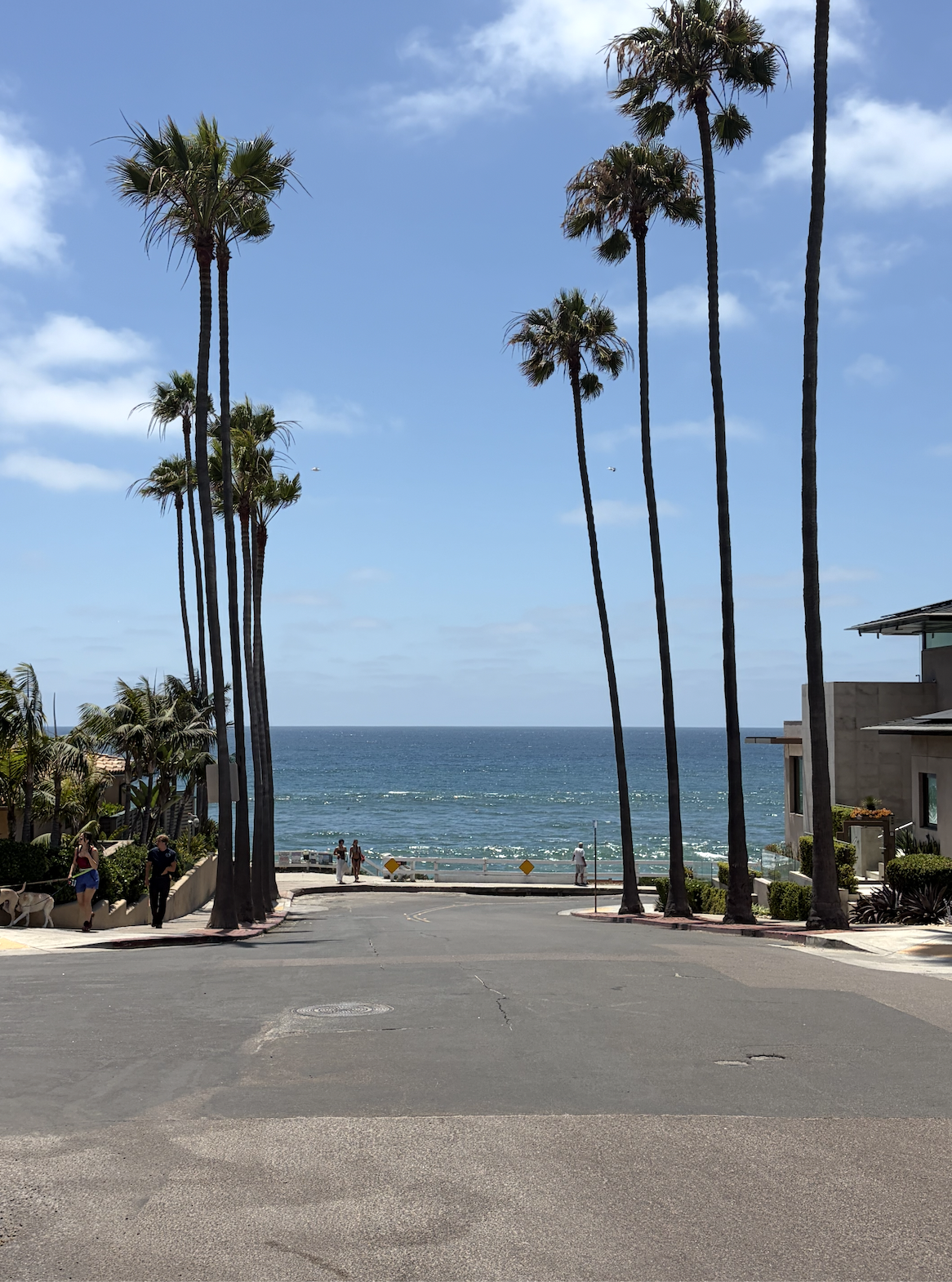 Things to do in San Diego this weekend July 30 to August 2