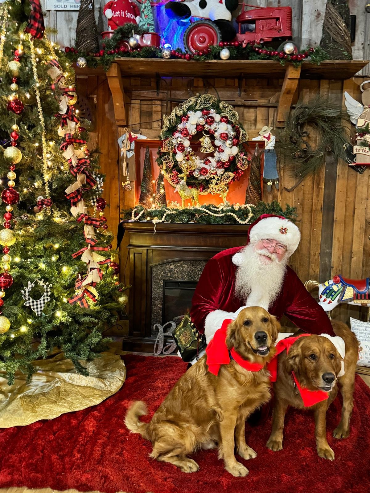 Christmas At The Farm