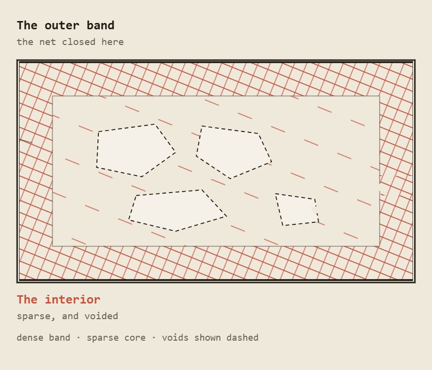 A cut section through a grown block, dense outer band and sparse core.