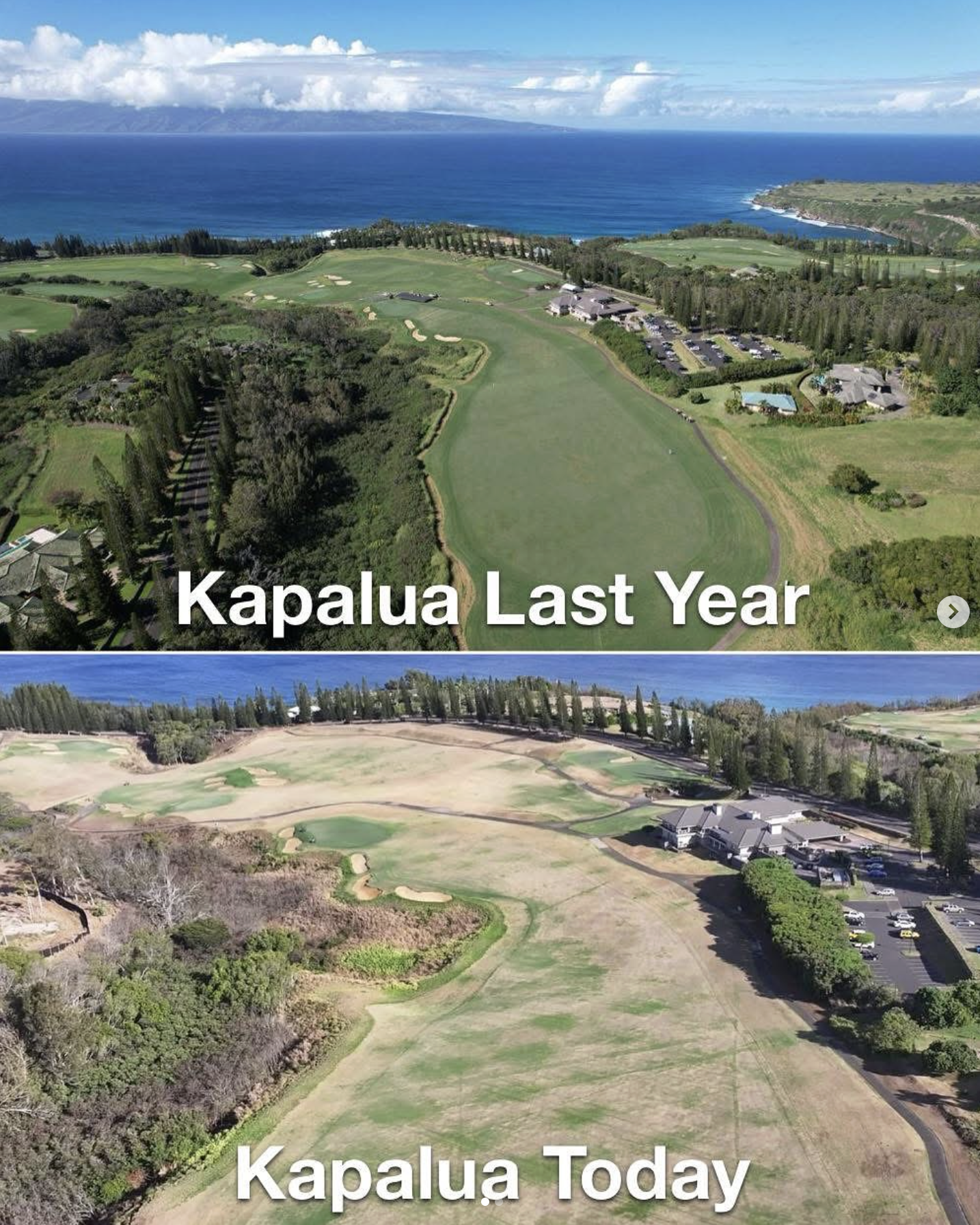 Kapalua golf course comparison