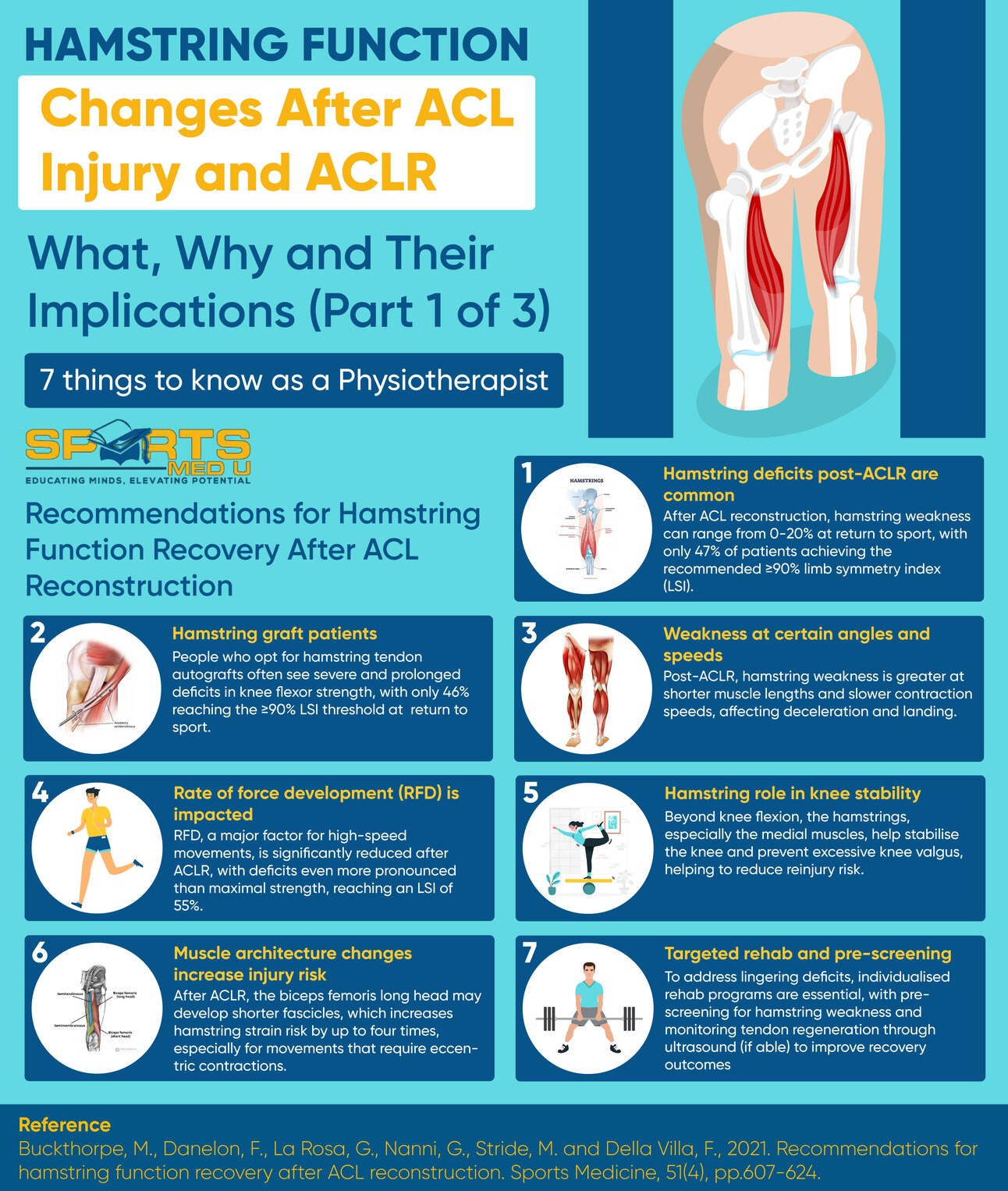 The Naughty Hamstring (Part 1 of 3)