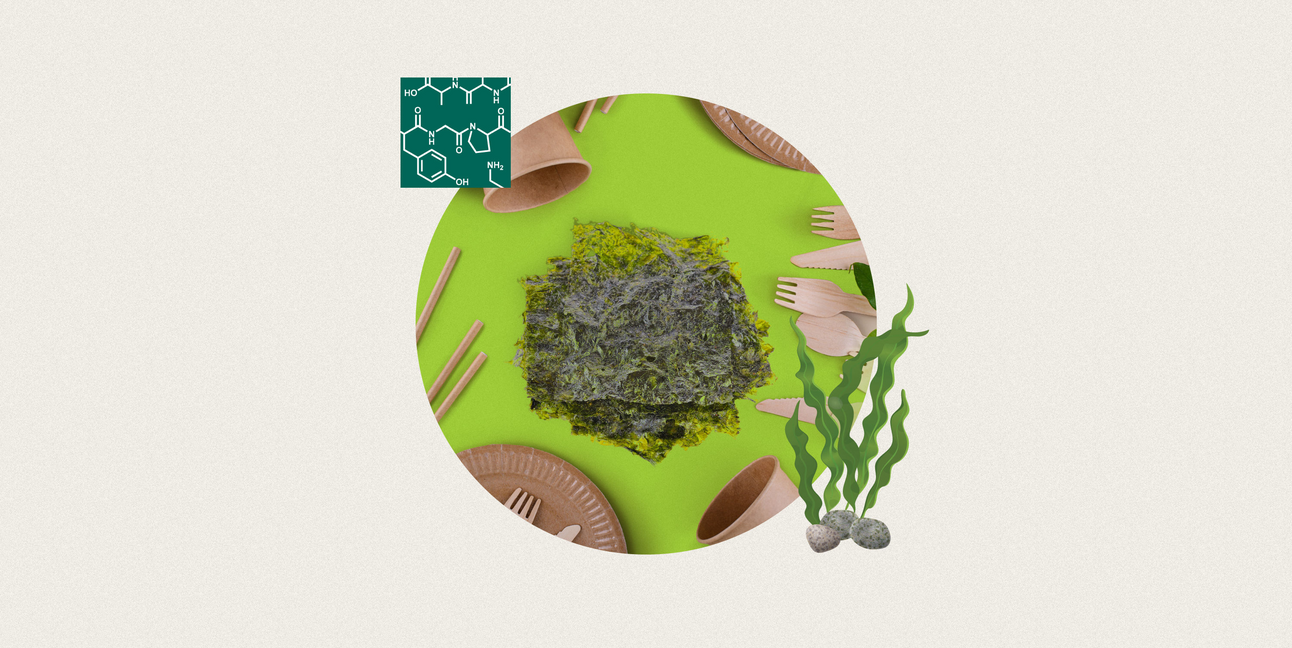 Seaweed packaging: the sea change the packaging industry needs?