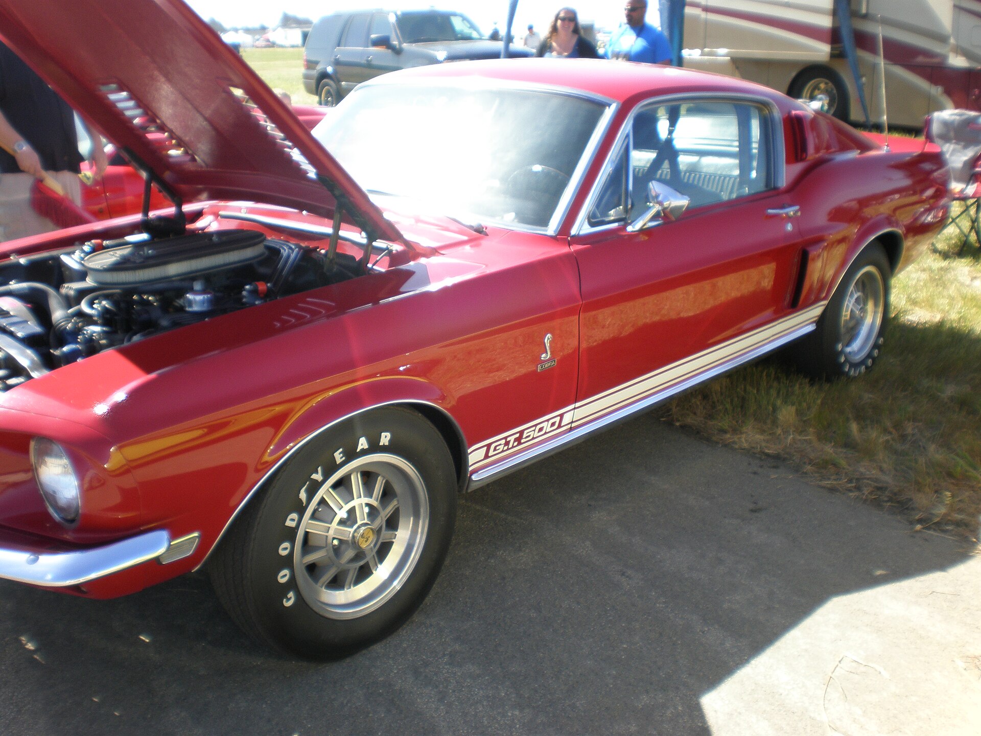 1967 Shelby GT500 side profile