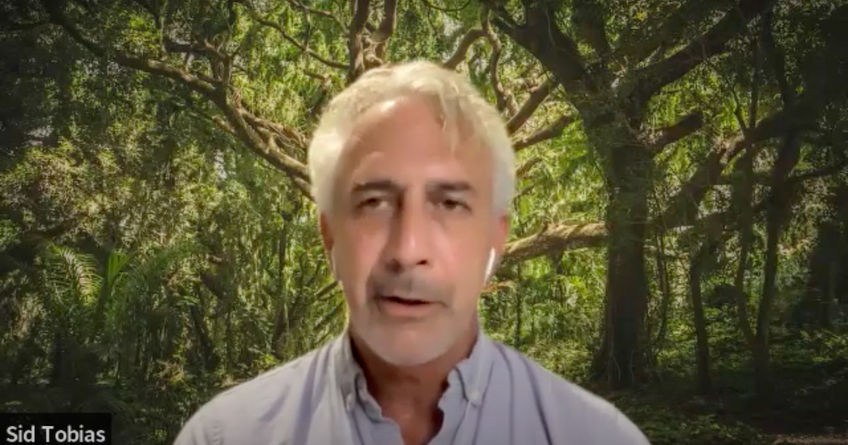 Your guide to View Royal's all candidate meeting