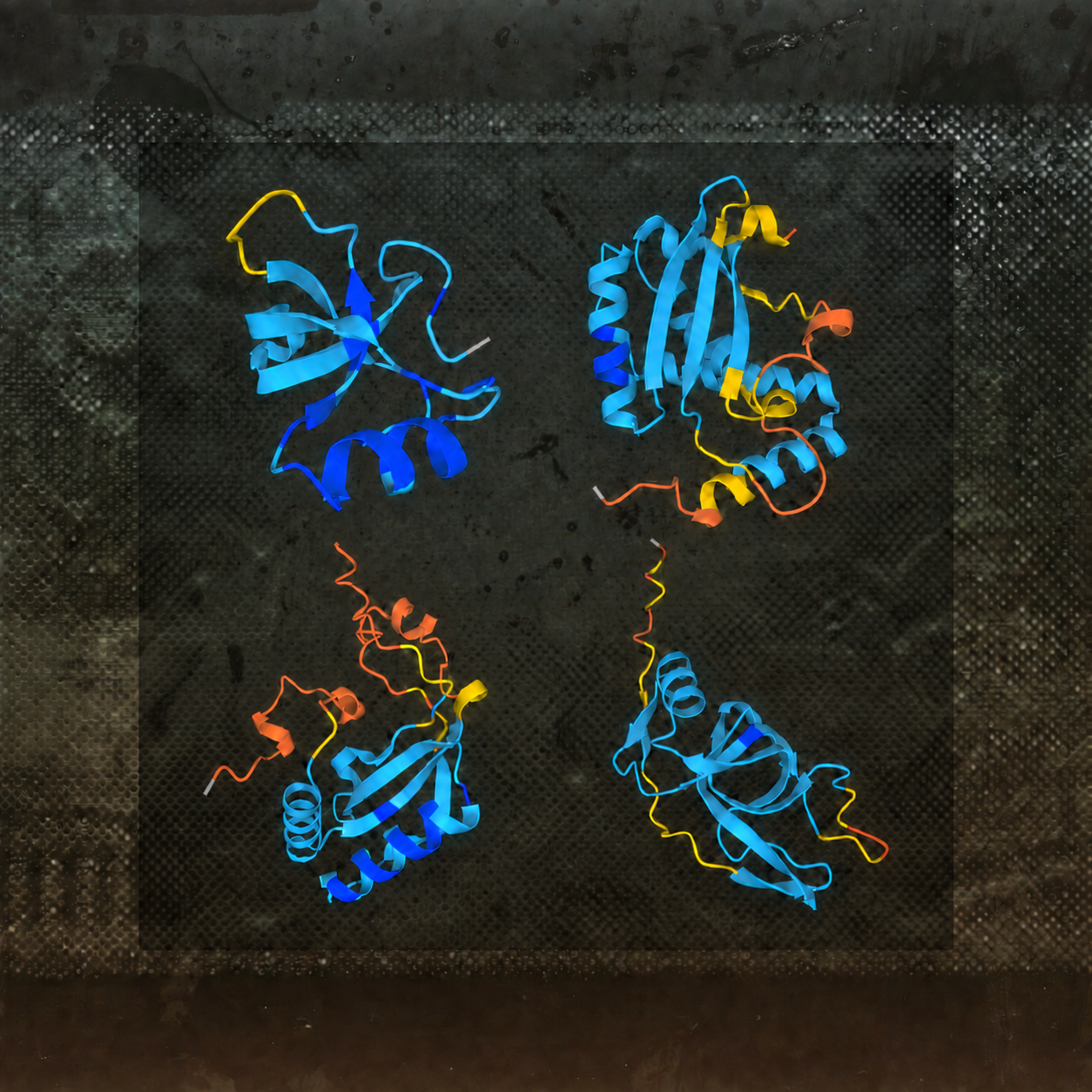 A folded protein shape, coloured blue, yellow and orange by prediction confidence.