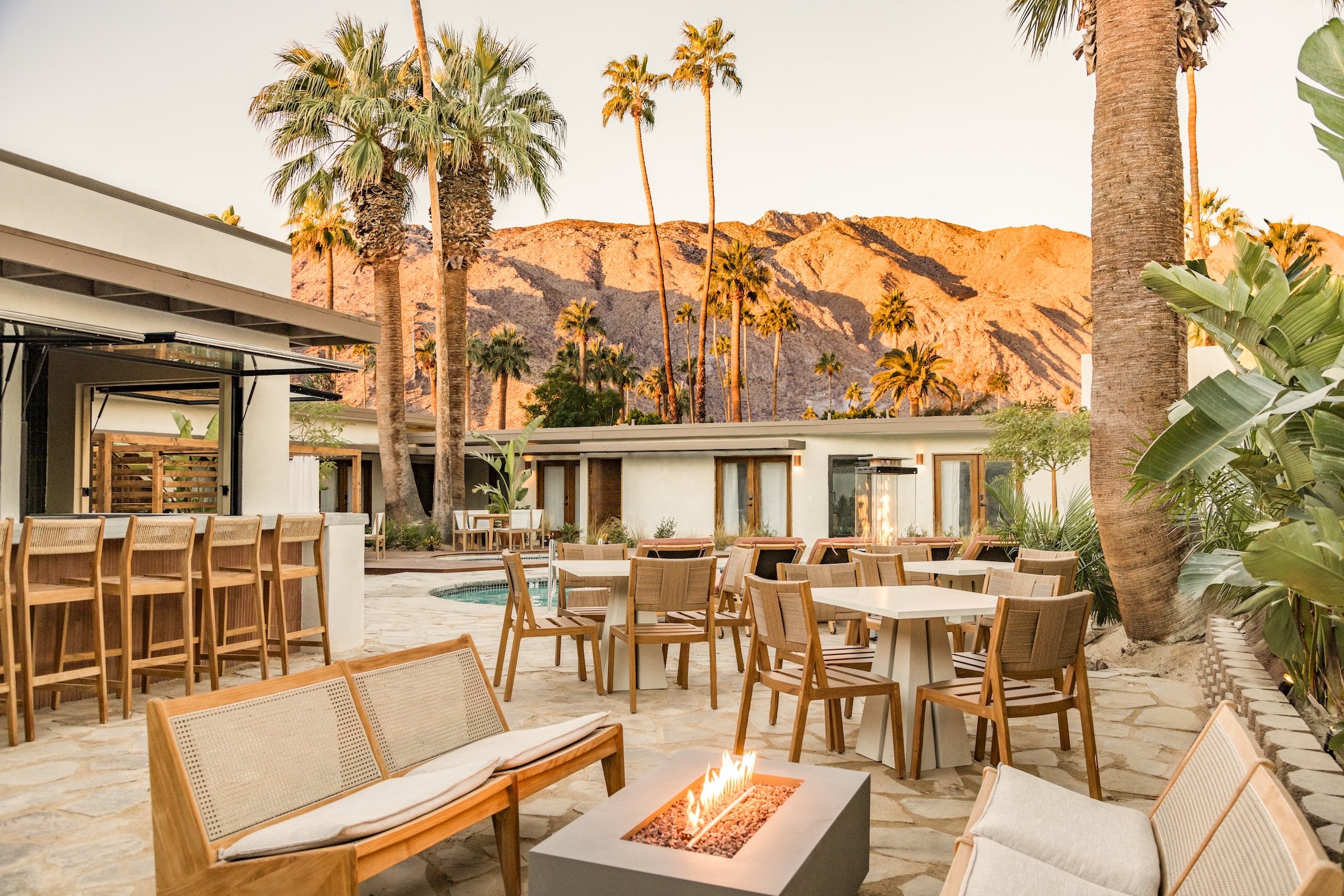 Outdoor lounge and bar beneath palm trees at Terra Palm Springs