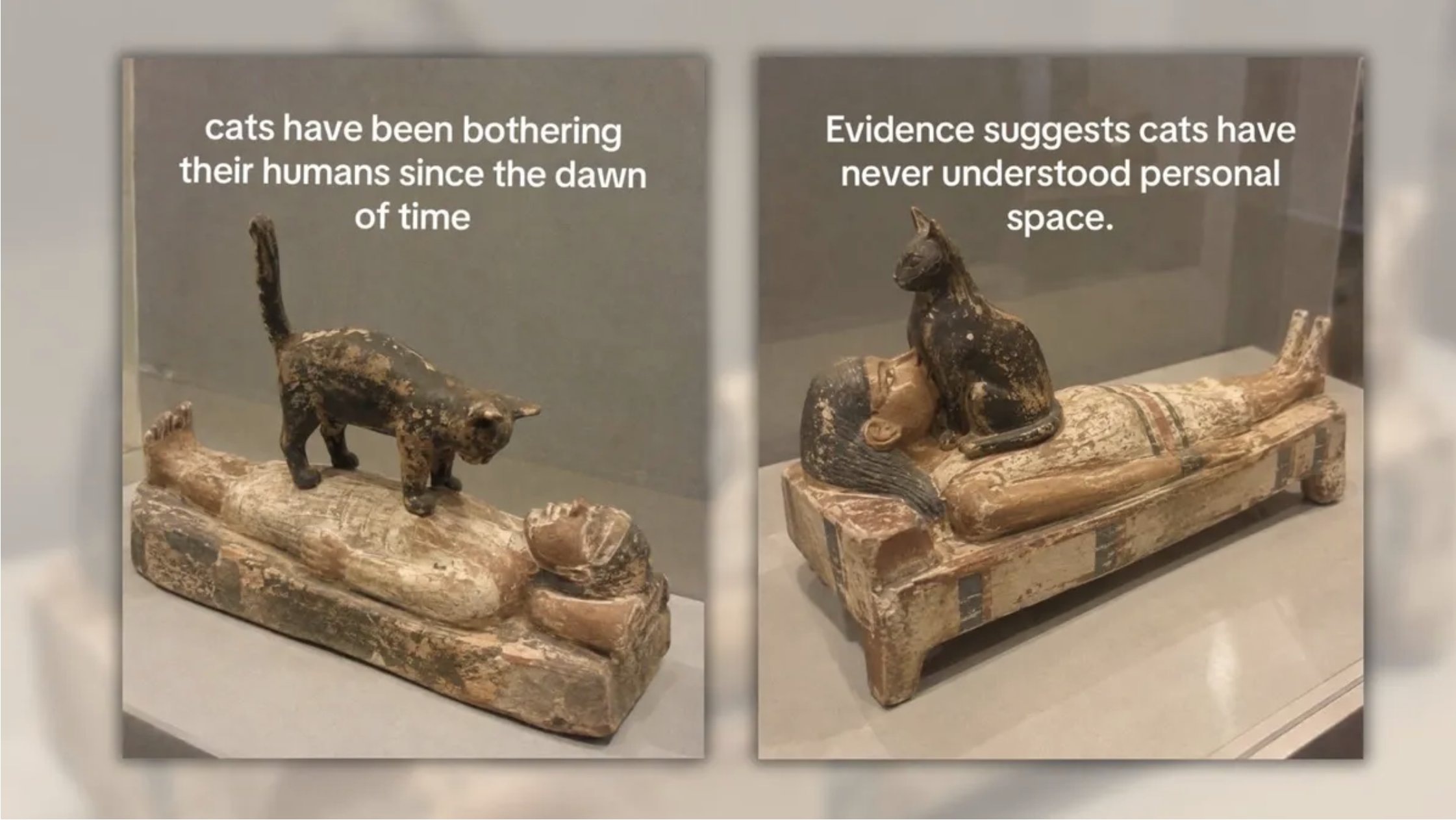 Two museum-style photos of ancient wood carvings showing a cat walking on a sleeping person and another cat sitting against a person's chin, images made with AI