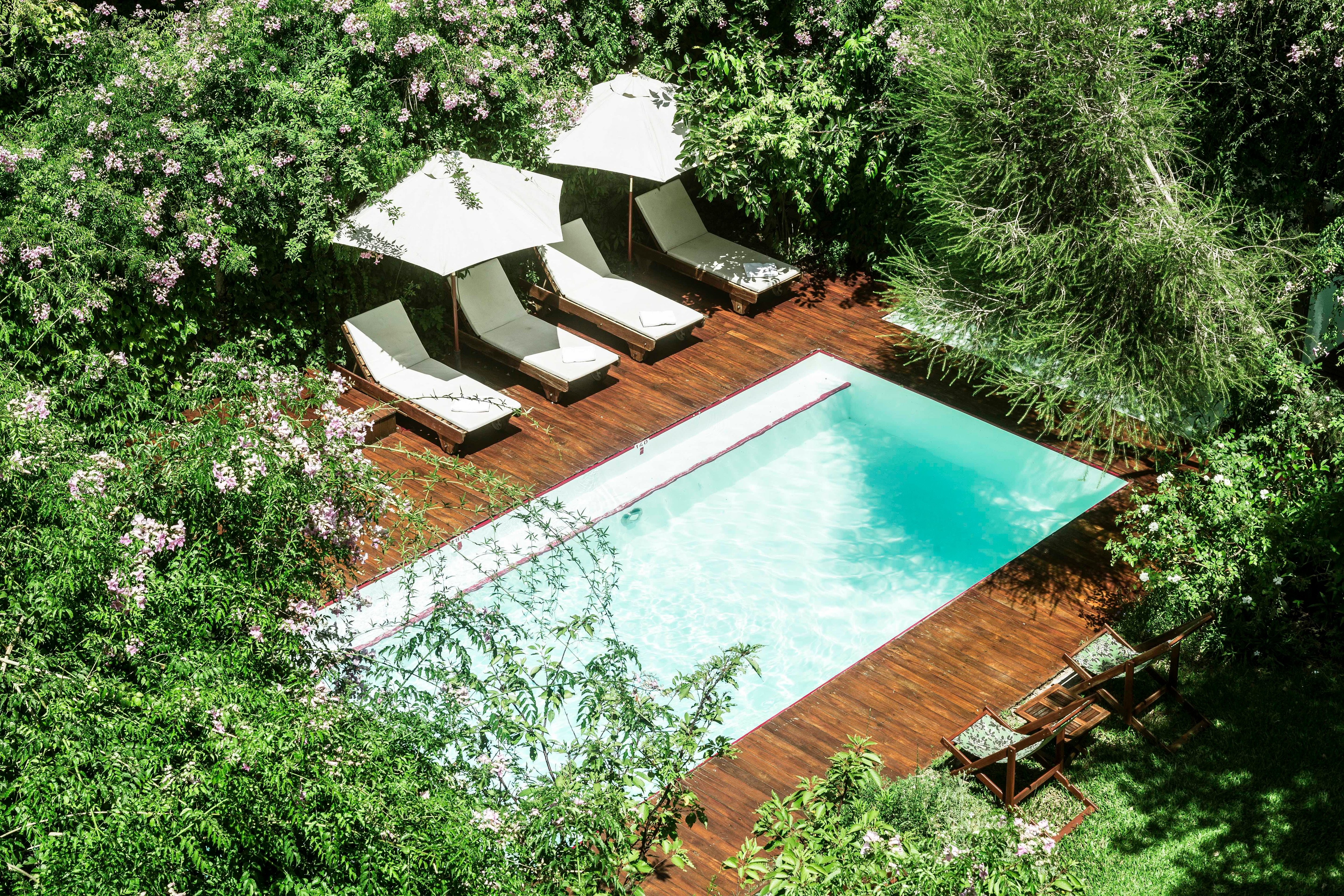Garden swimming pool surrounded by greenery at Home Hotel