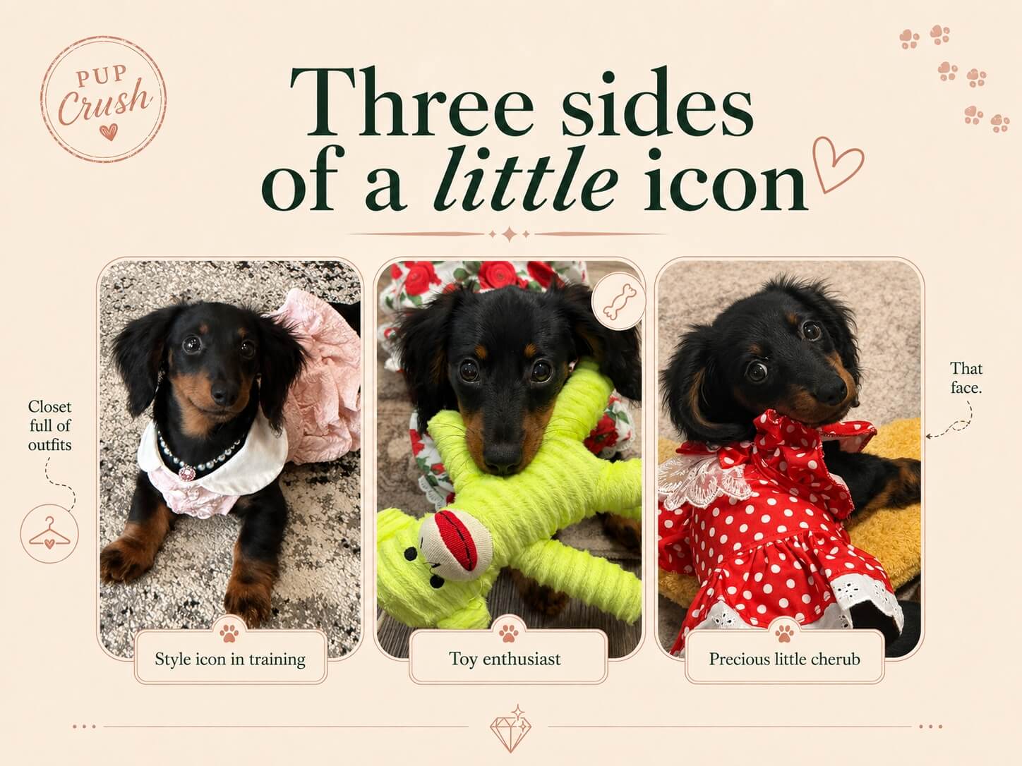 Three sides of Maxi Mae, including her outfits, toys and expressive puppy eyes