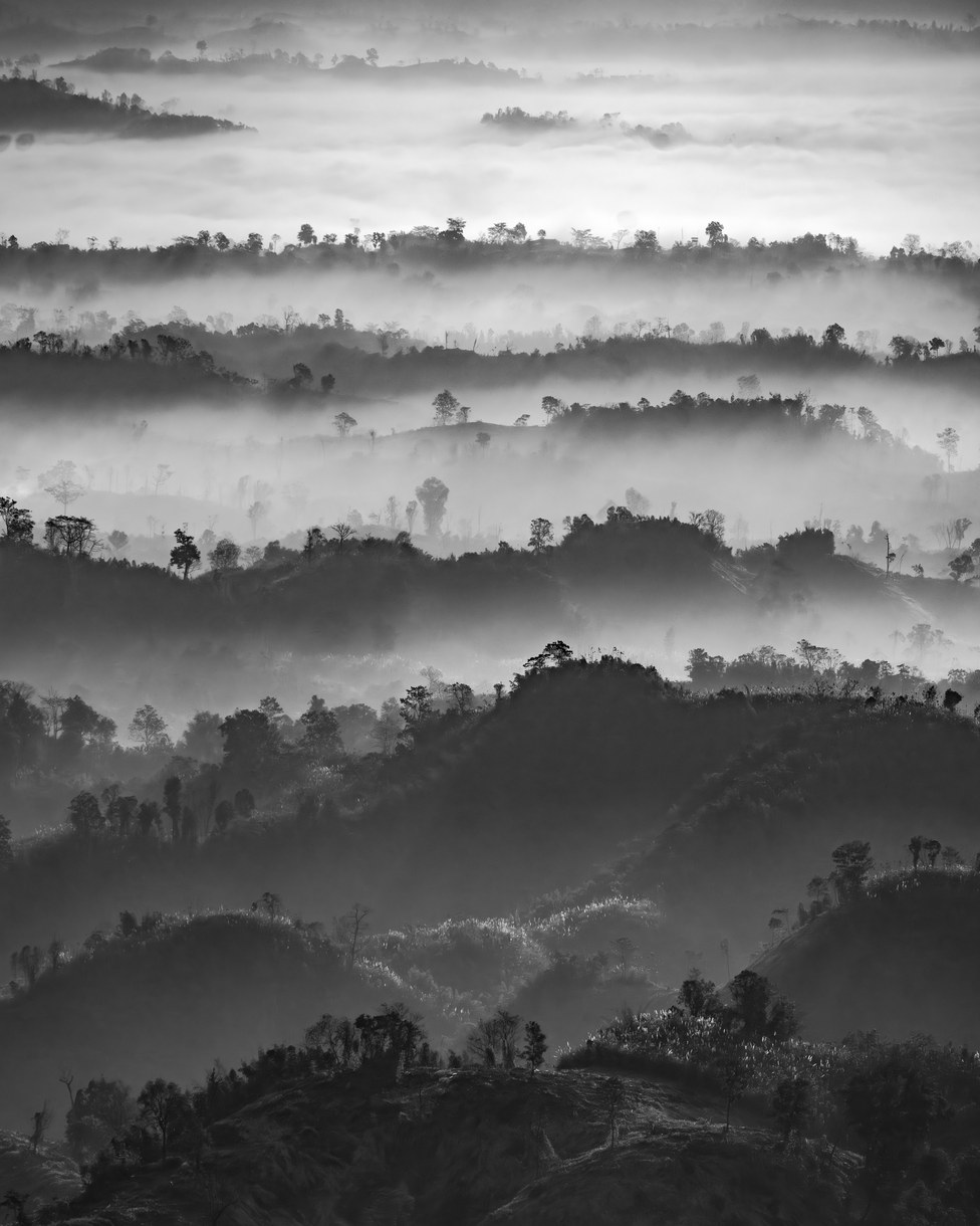 Black and white photo of forested hills rising out of layers of morning mist