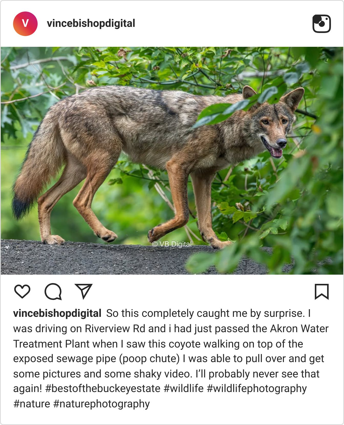 Instagram post