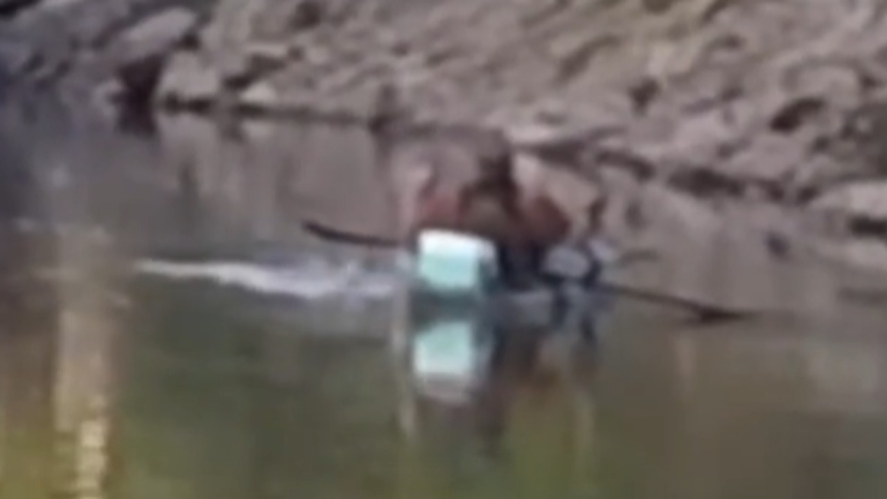 Footage from the Meramec River fishing trip