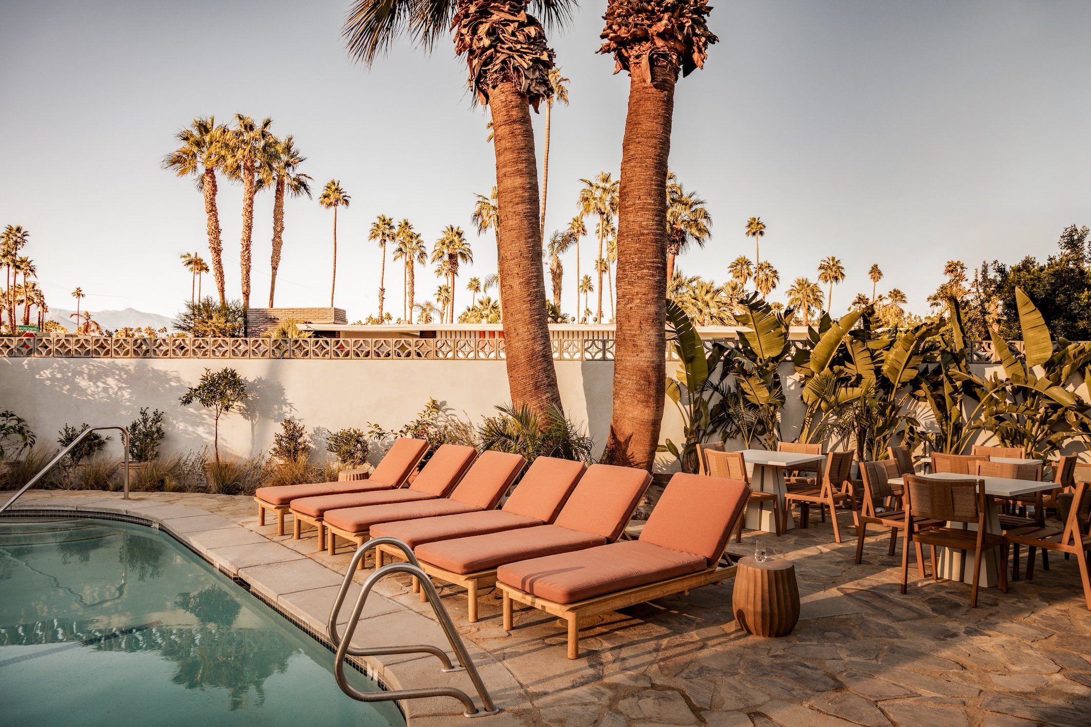 Swimming pool and terracotta loungers beneath palm trees at Terra Palm Springs