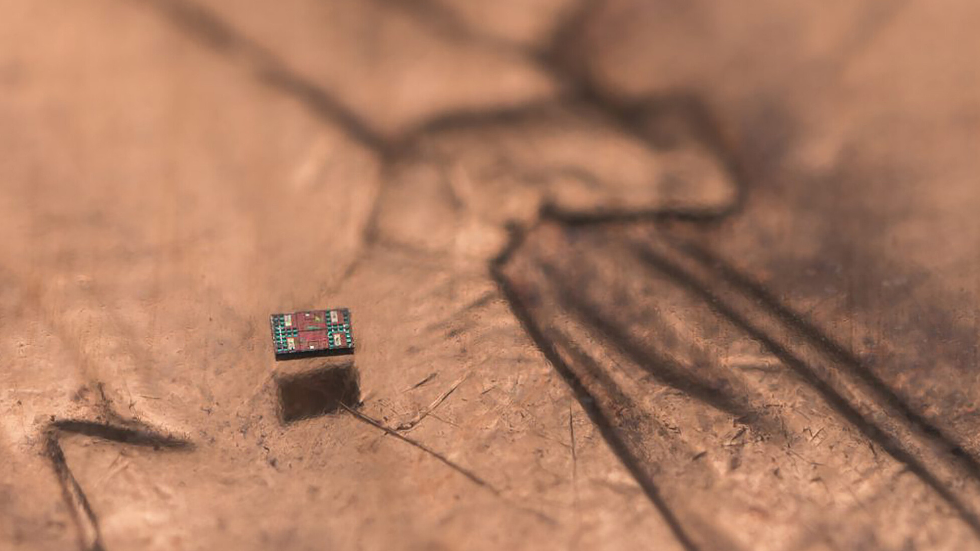 World's smallest autonomous robots