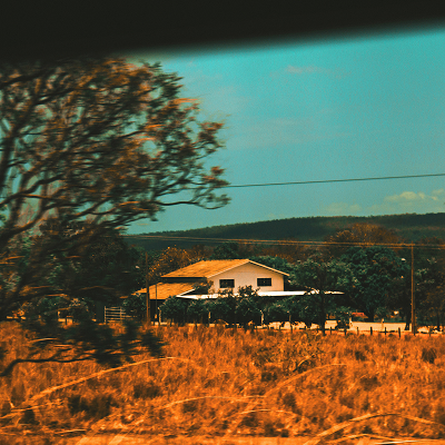 Thaylon Reis fotografando o cerrado tocantinense para a newsletter Assine Dose.