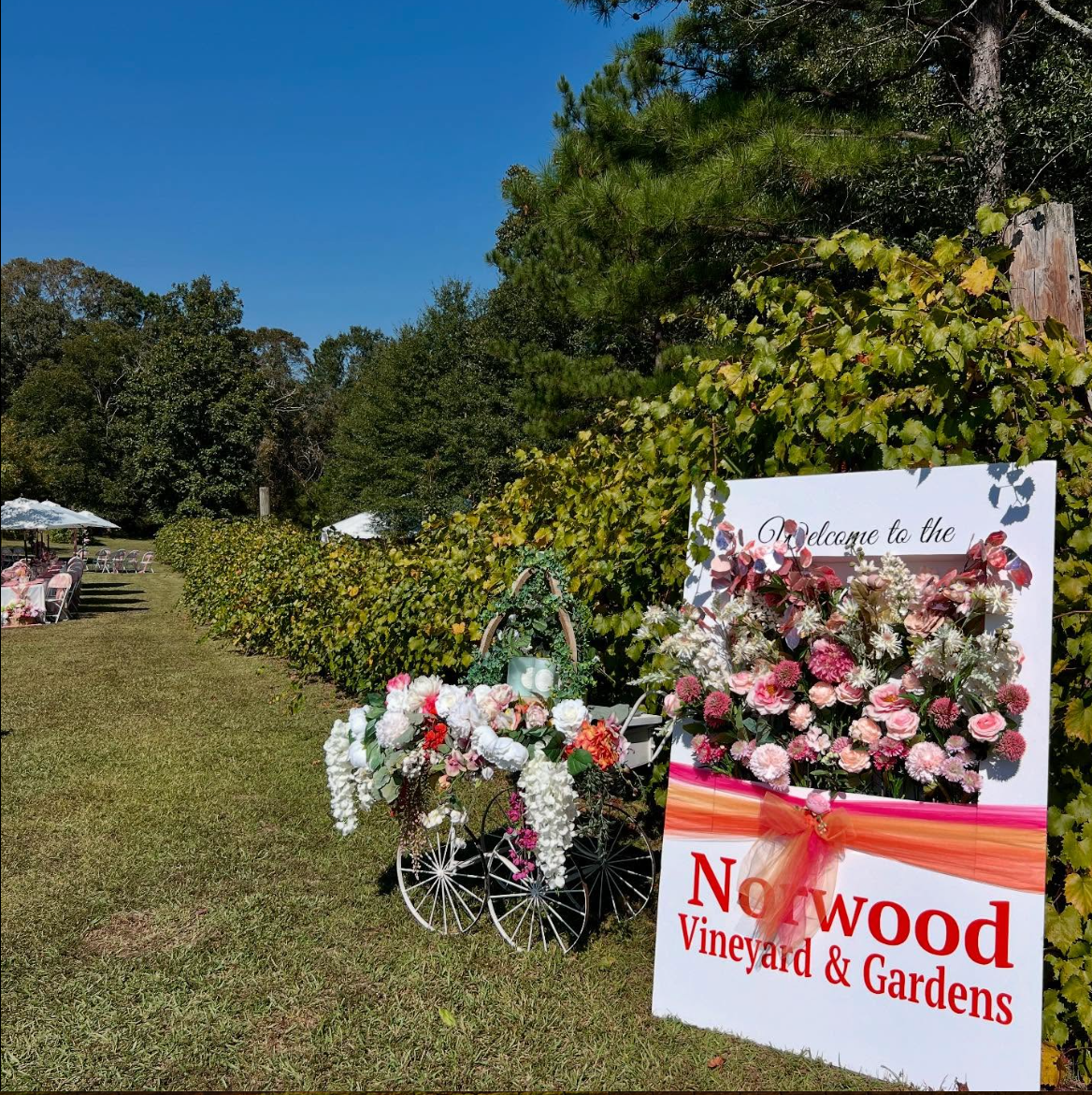 Norwood Vineyard & Gardens
