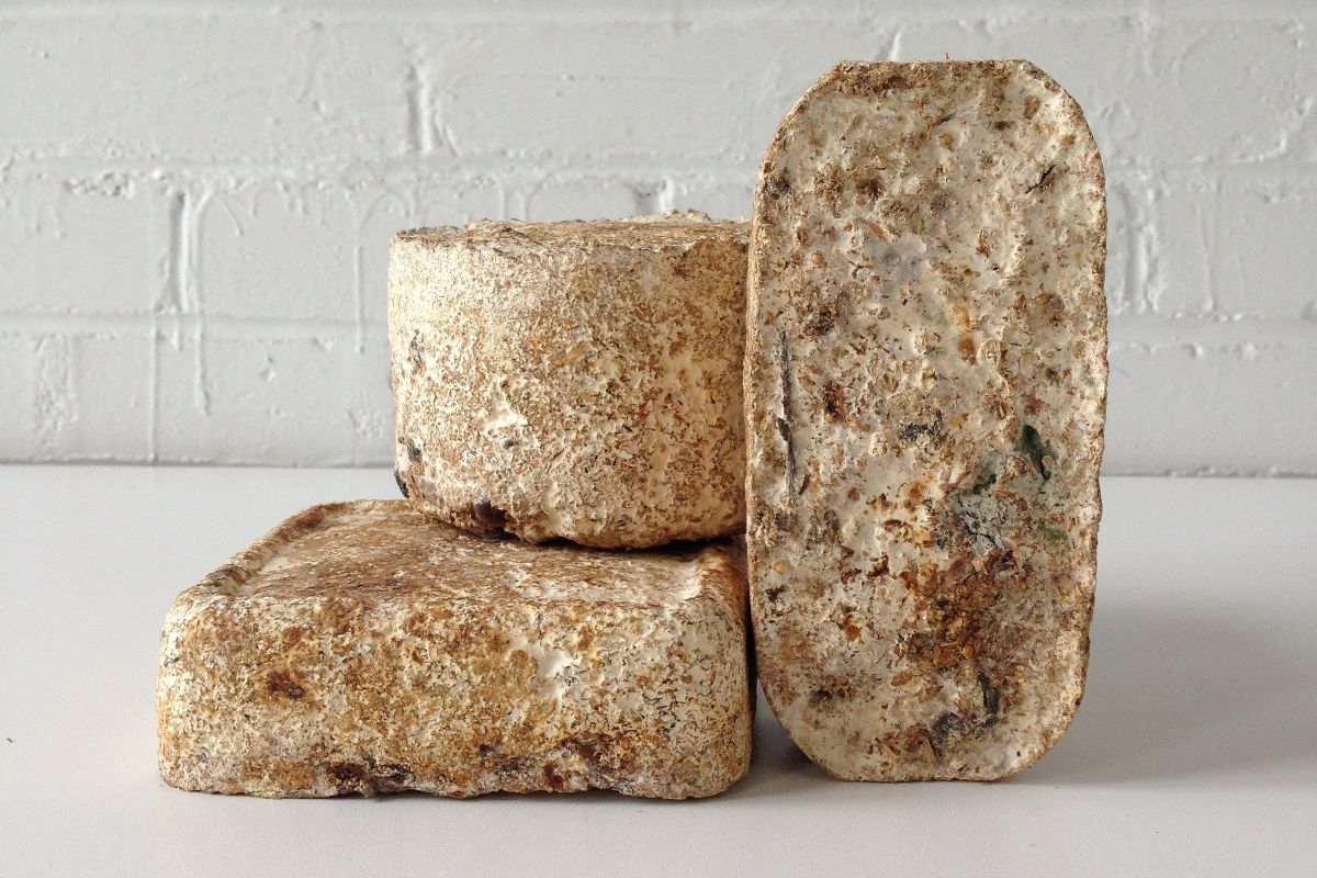 A mycelium composite block, pale bloom of living mycelium across its surface.