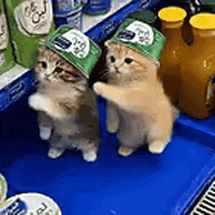 Two kittens in green hats dancing on their hind legs