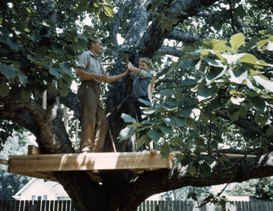 Mike’s Backyard Fortress, 1965