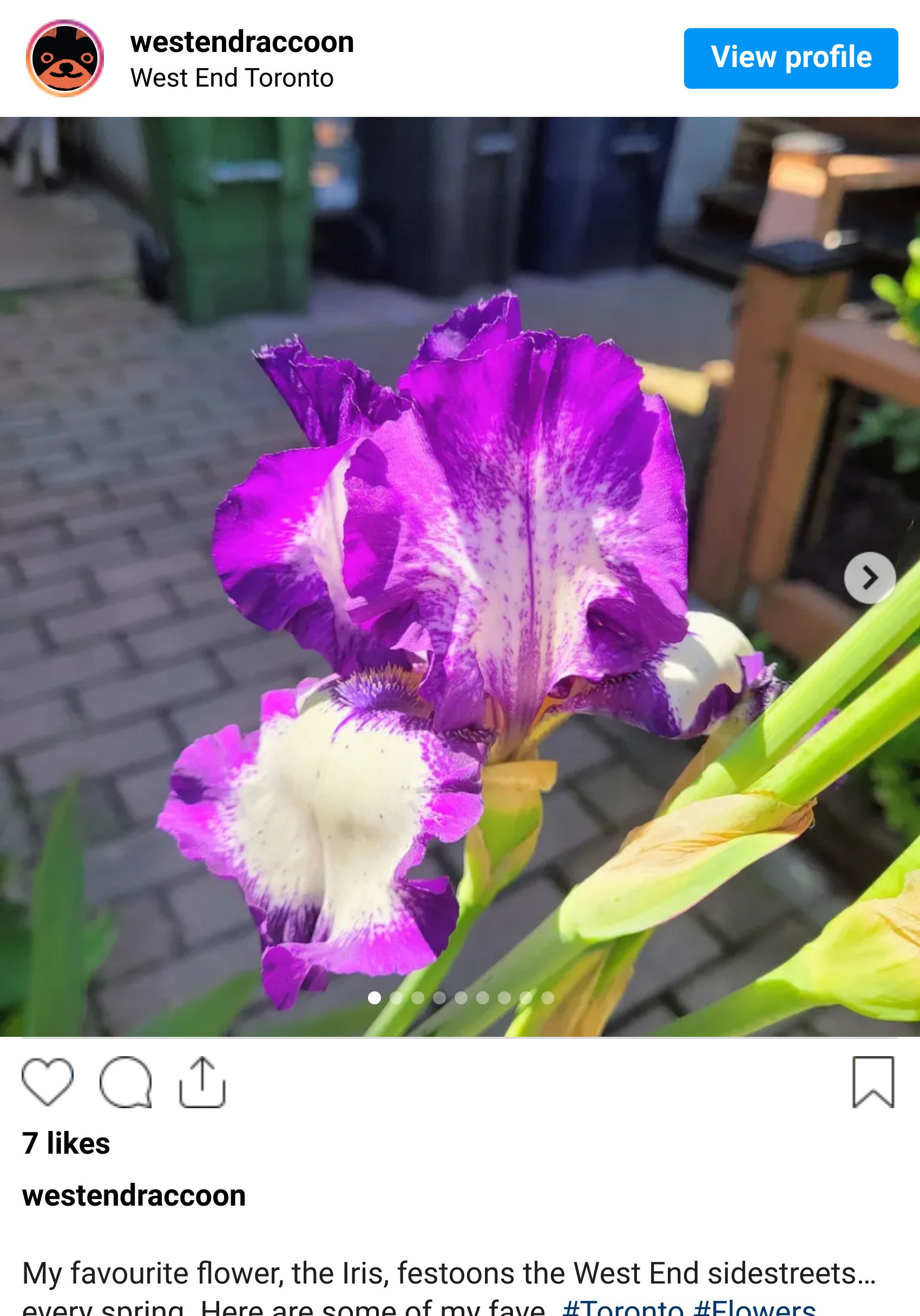 Instagram post