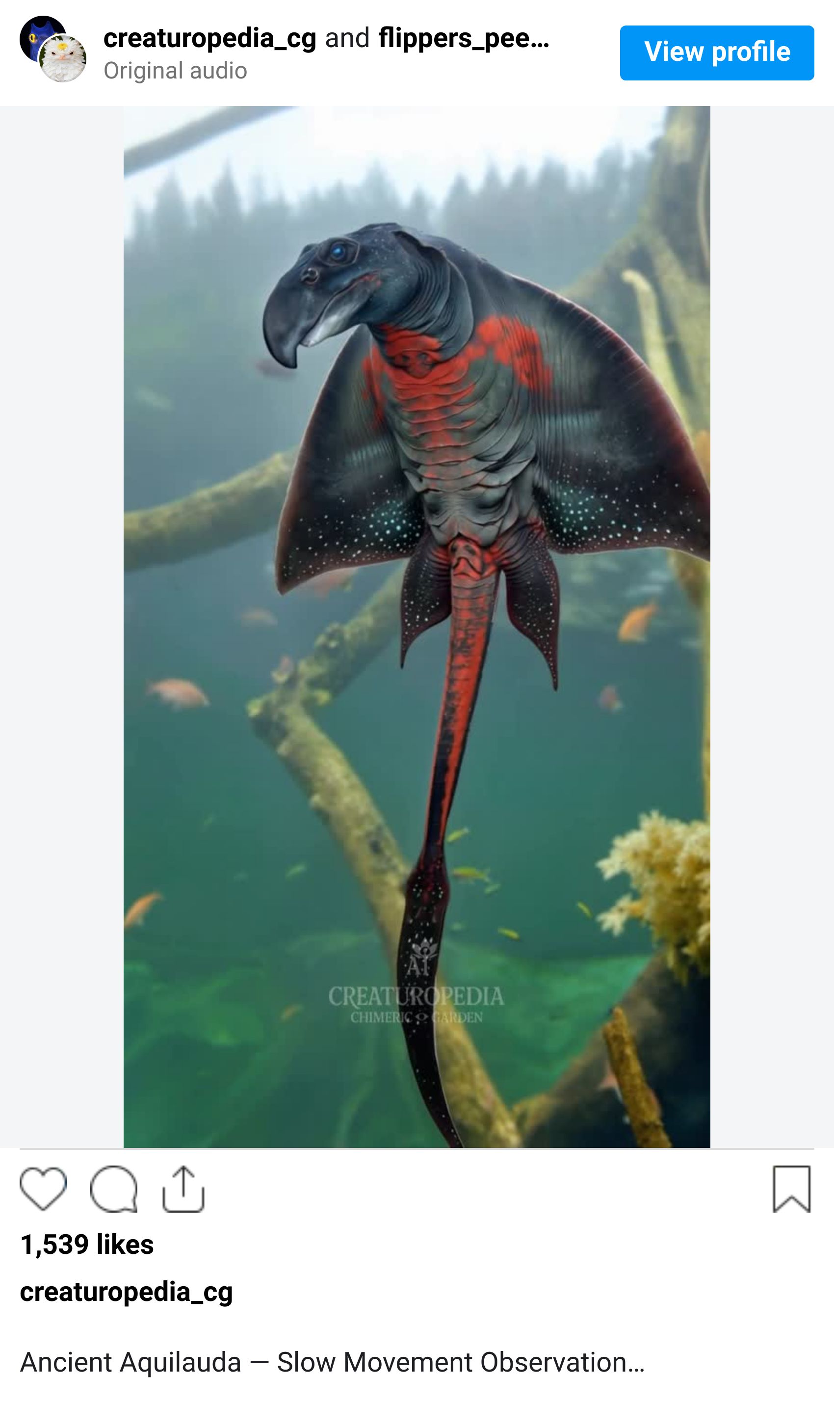 Instagram reel screenshot