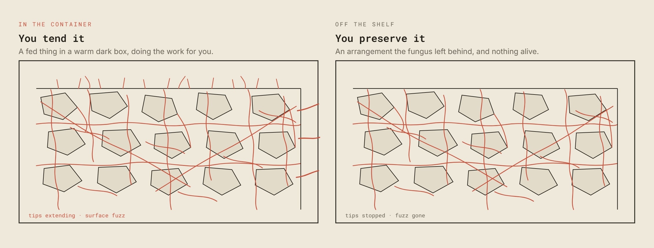 Two panels: the same net in the container and in the finished block.