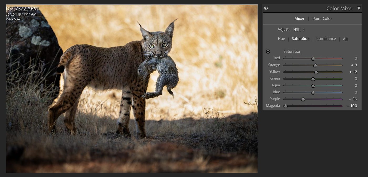 Lightroom's color mixer saturation sliders