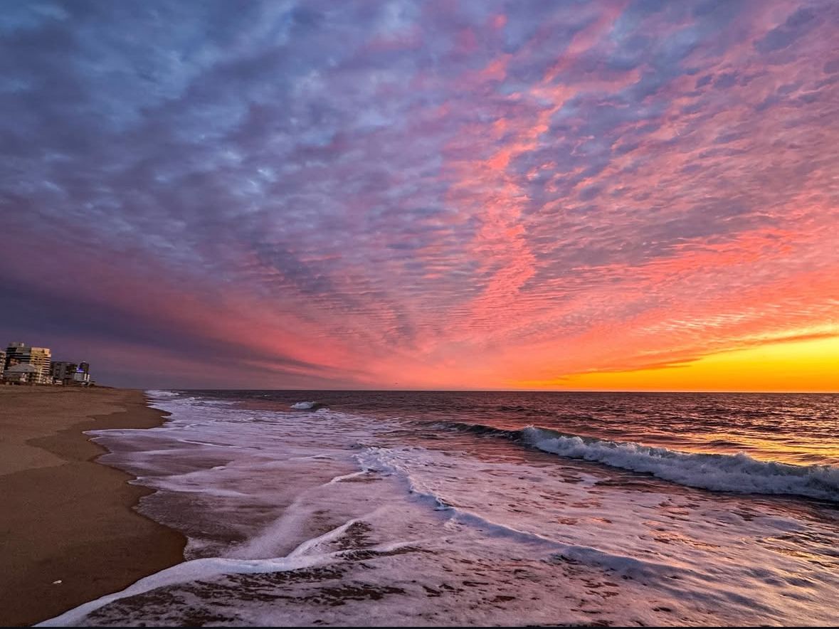 Where to Be in OCMD ~ March 30 - April 5, 2025      