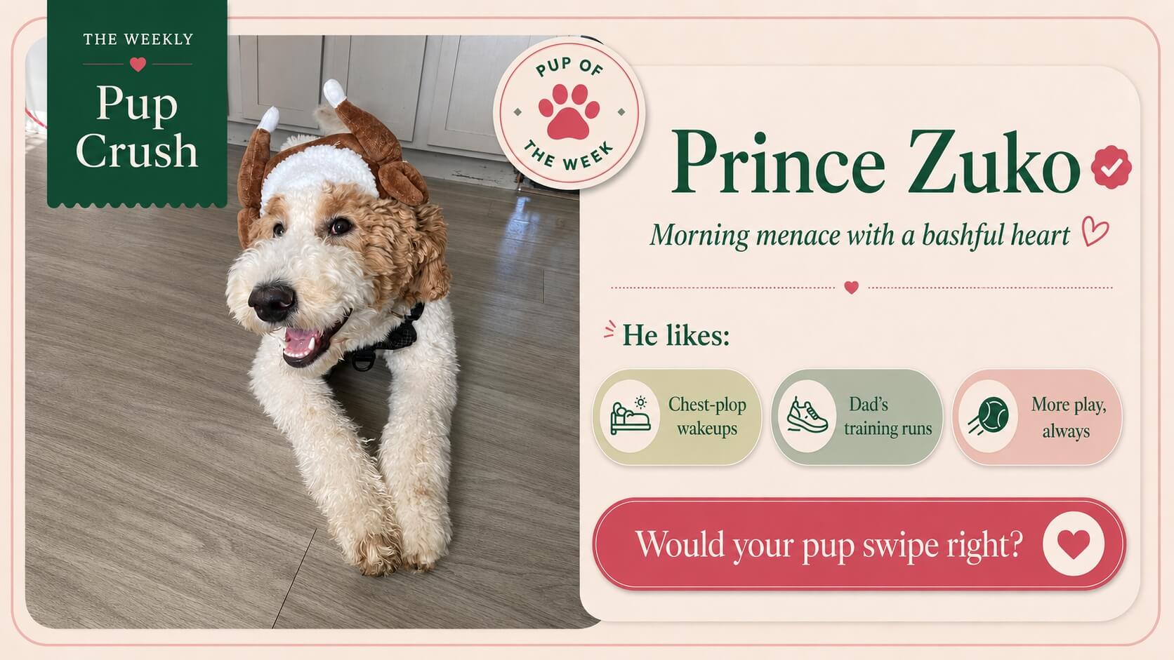 Prince Zuko, this week’s Pup Crush and morning menace with a bashful heart