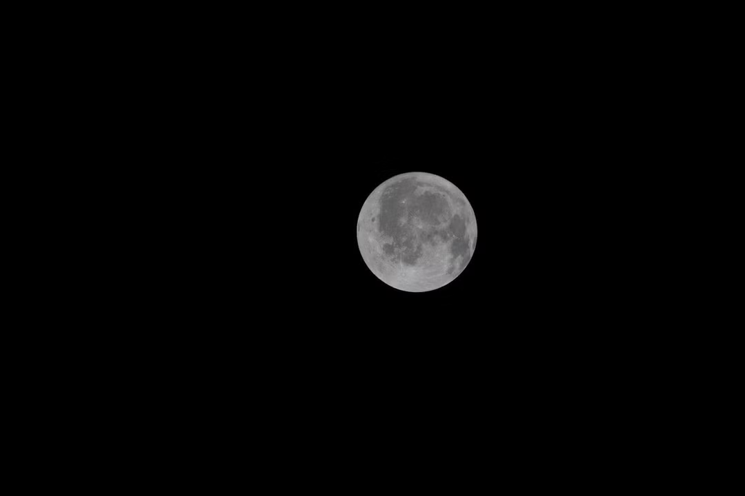 NIGHT #191