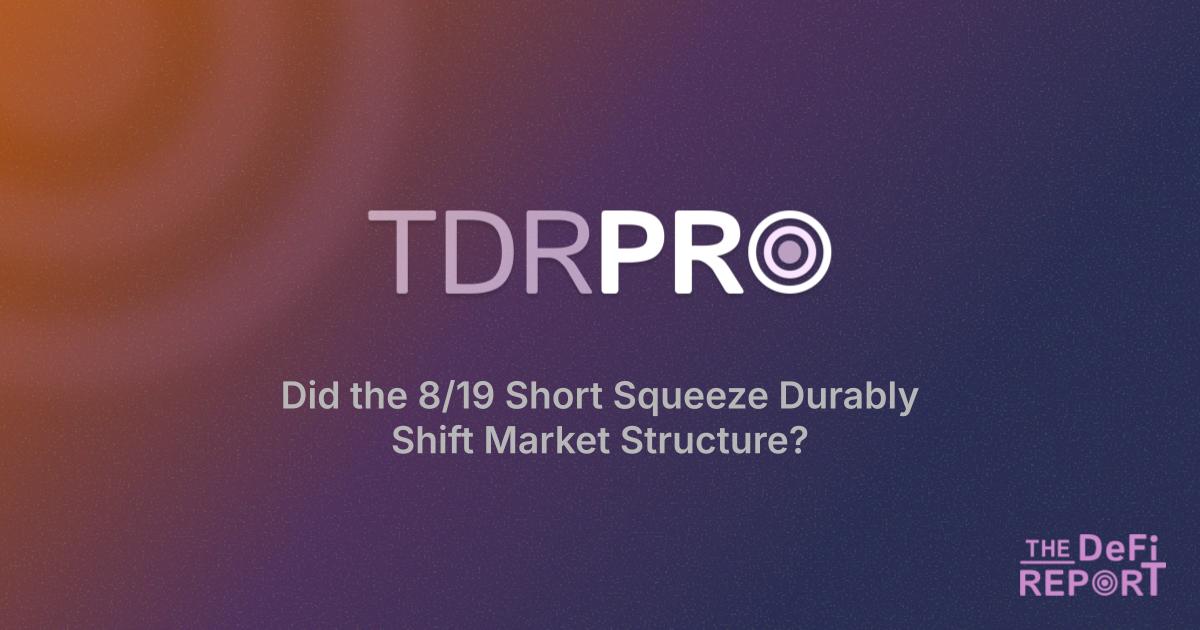 Did the 8/19 Short Squeeze Durably Shift Market Structure 
