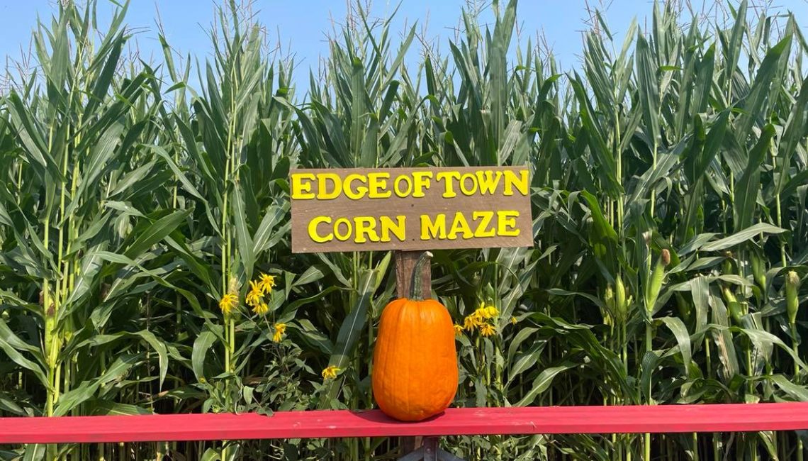 Edge of Town Farm Market corn maze in Bridgeport, WV