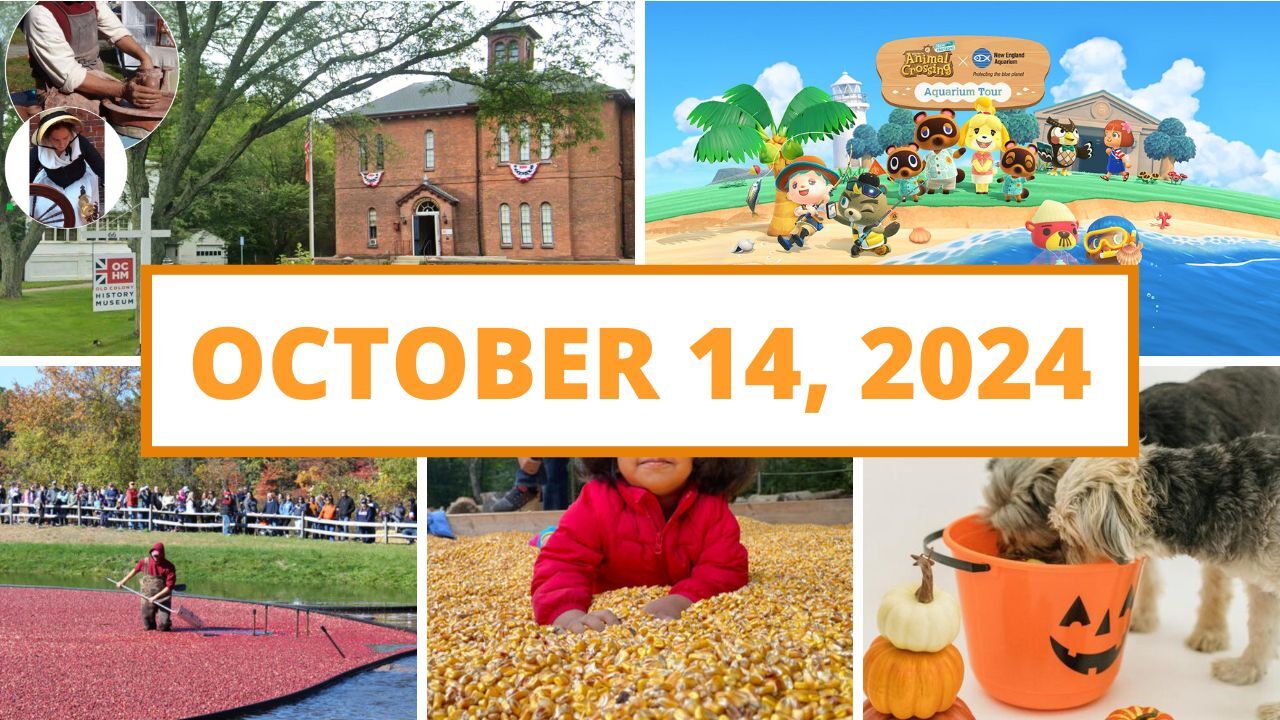 Fun & free annual corn festival returns, and a new adventure arrives at