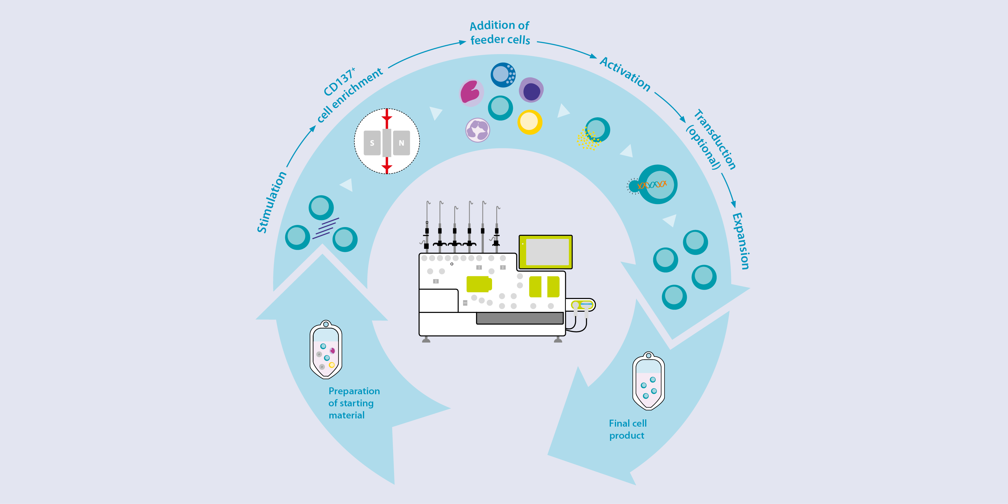 CliniMACS Prodigy® workflow — Separation, Activation, Expansion