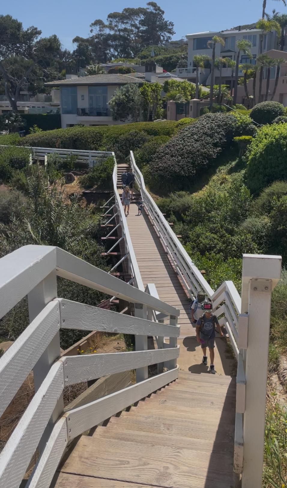Guy Fleming Trail at Torrey Pines