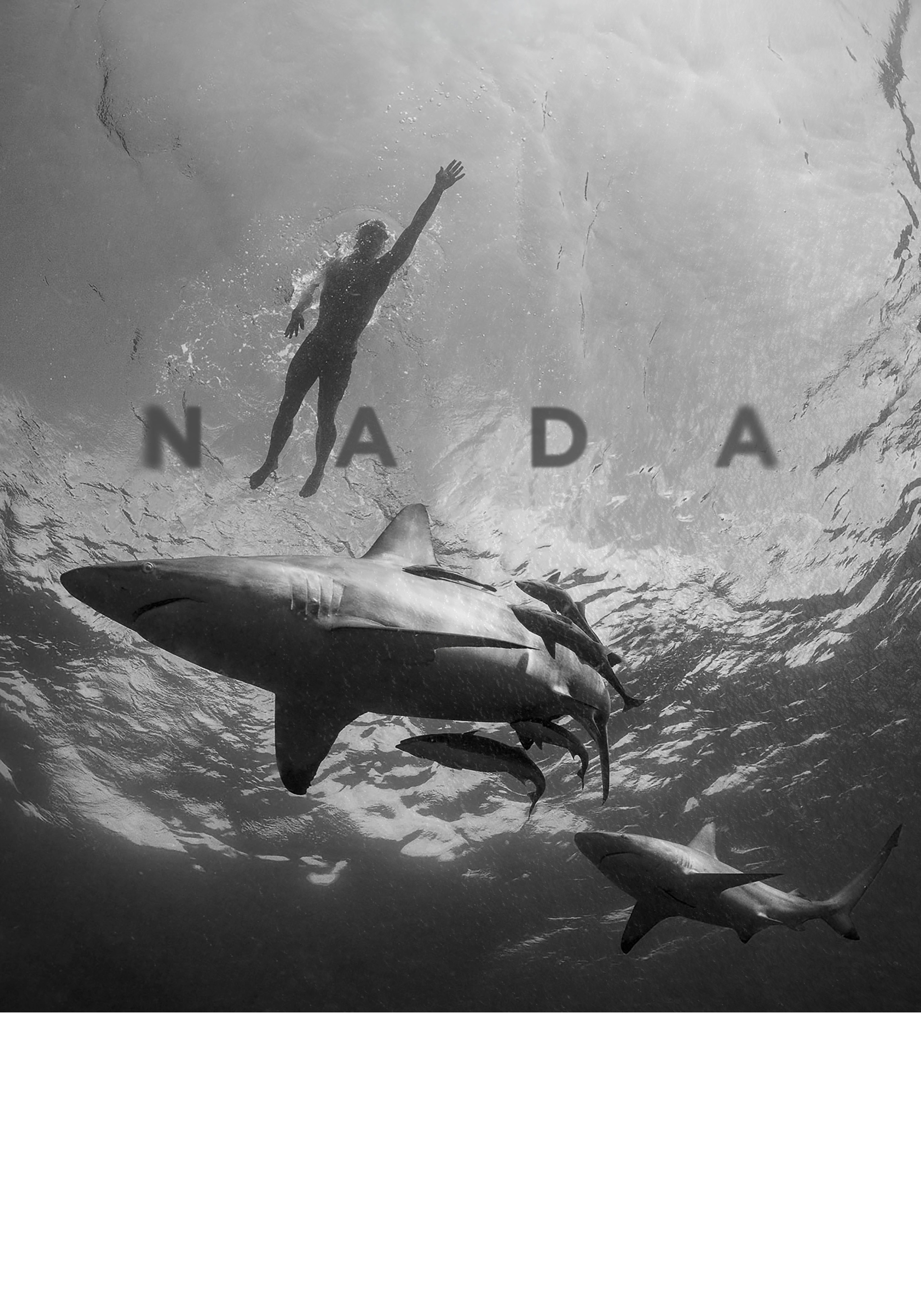 NADA: nadador y tiburones bajo el agua.