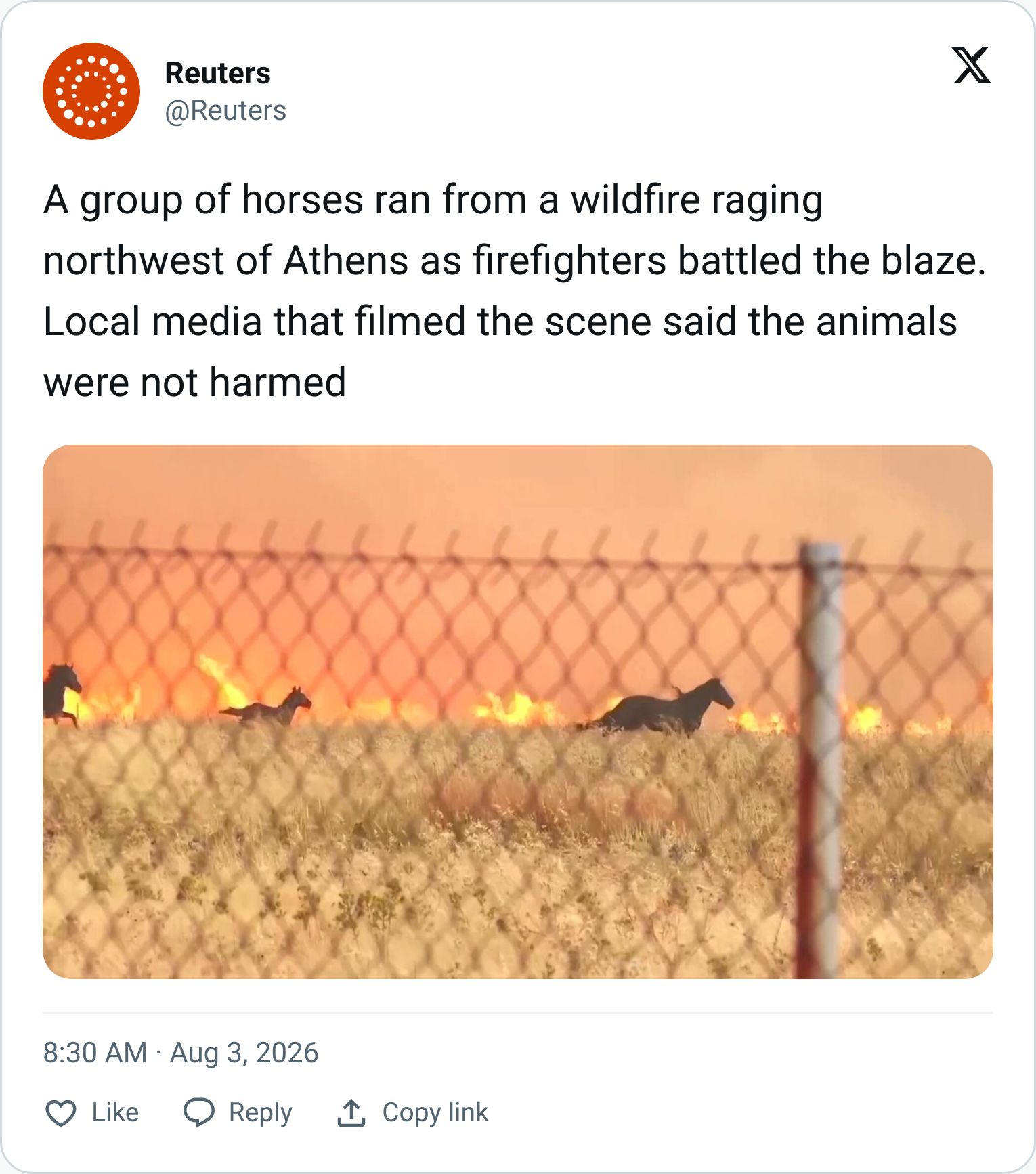 Tweet screenshot