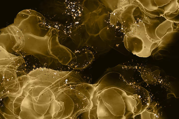 AI: The Question of Learning