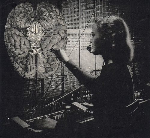 epigenética  