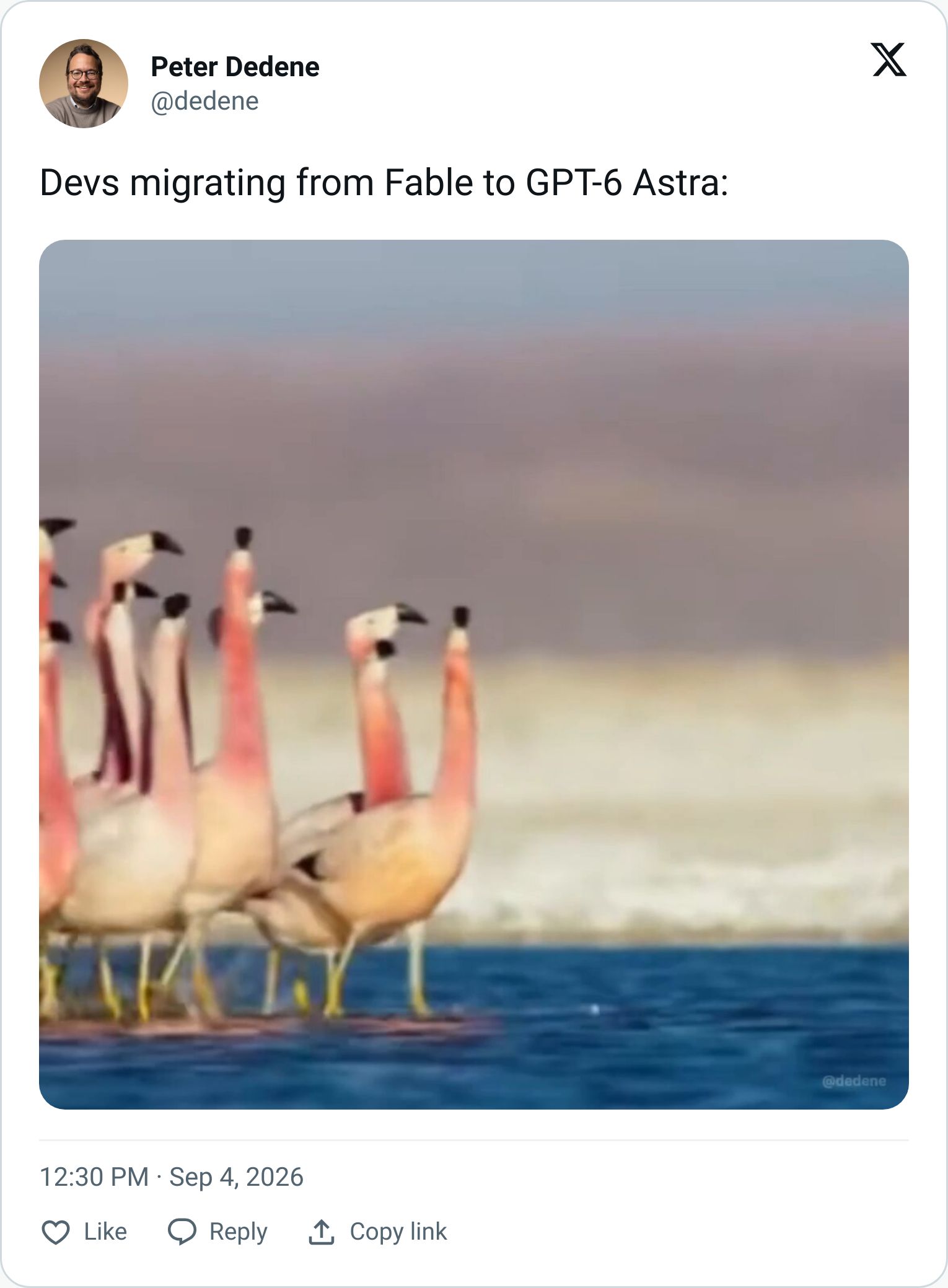 Tweet screenshot