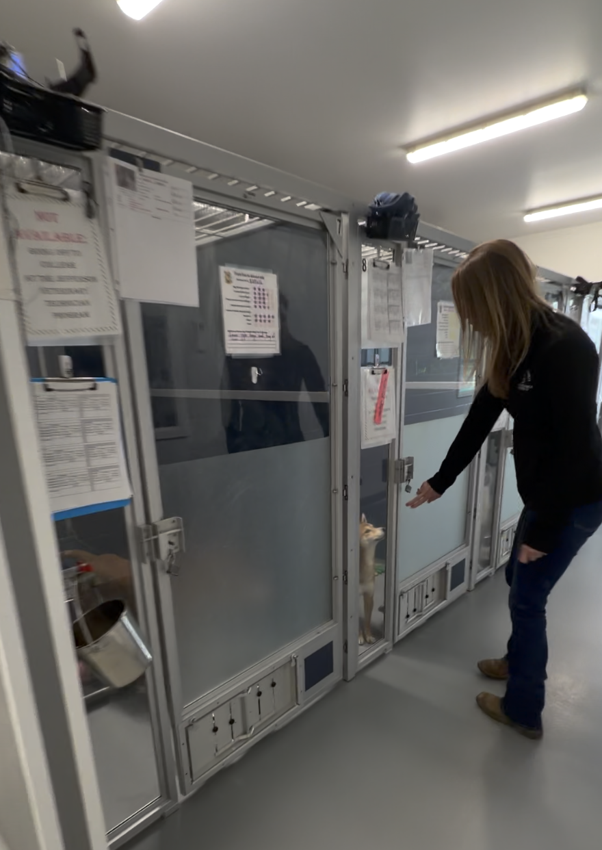 Andrea Jamirson at the dog kennels inside the Jefferson County Animal Resource Center