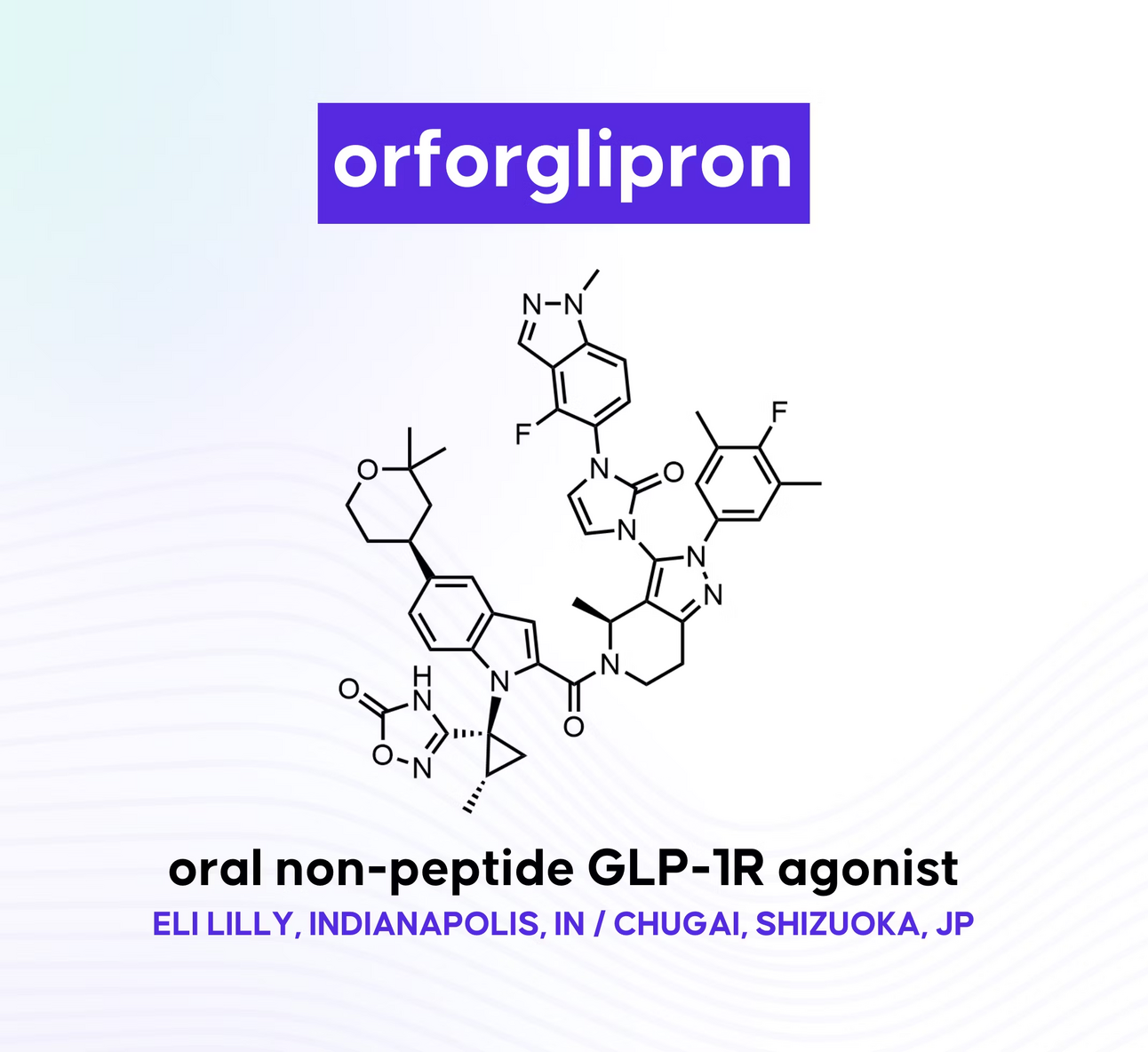 ADA Conference 2025: Orforglipron & Bimagrumab