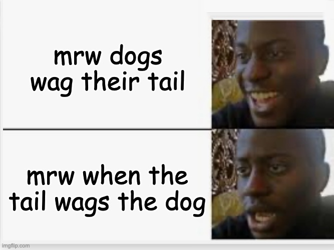 💃 When the Tail Wags the Dog🕺