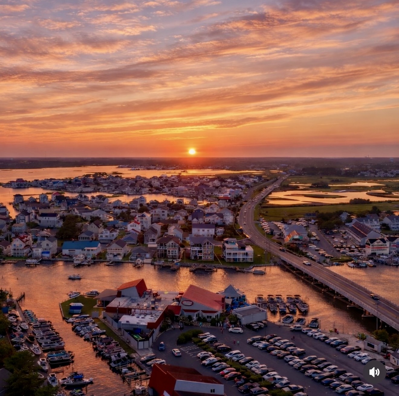 Where to Be in OCMD ~ March 15 - March 21 , 2026   
