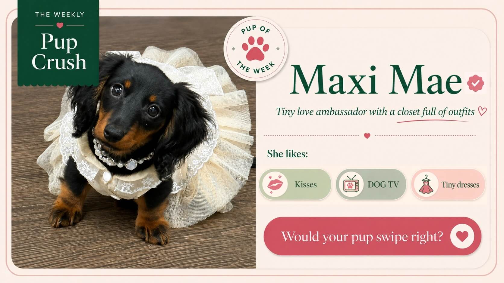 Maxi Mae, this week’s Pup Crush, wearing one of her signature outfits