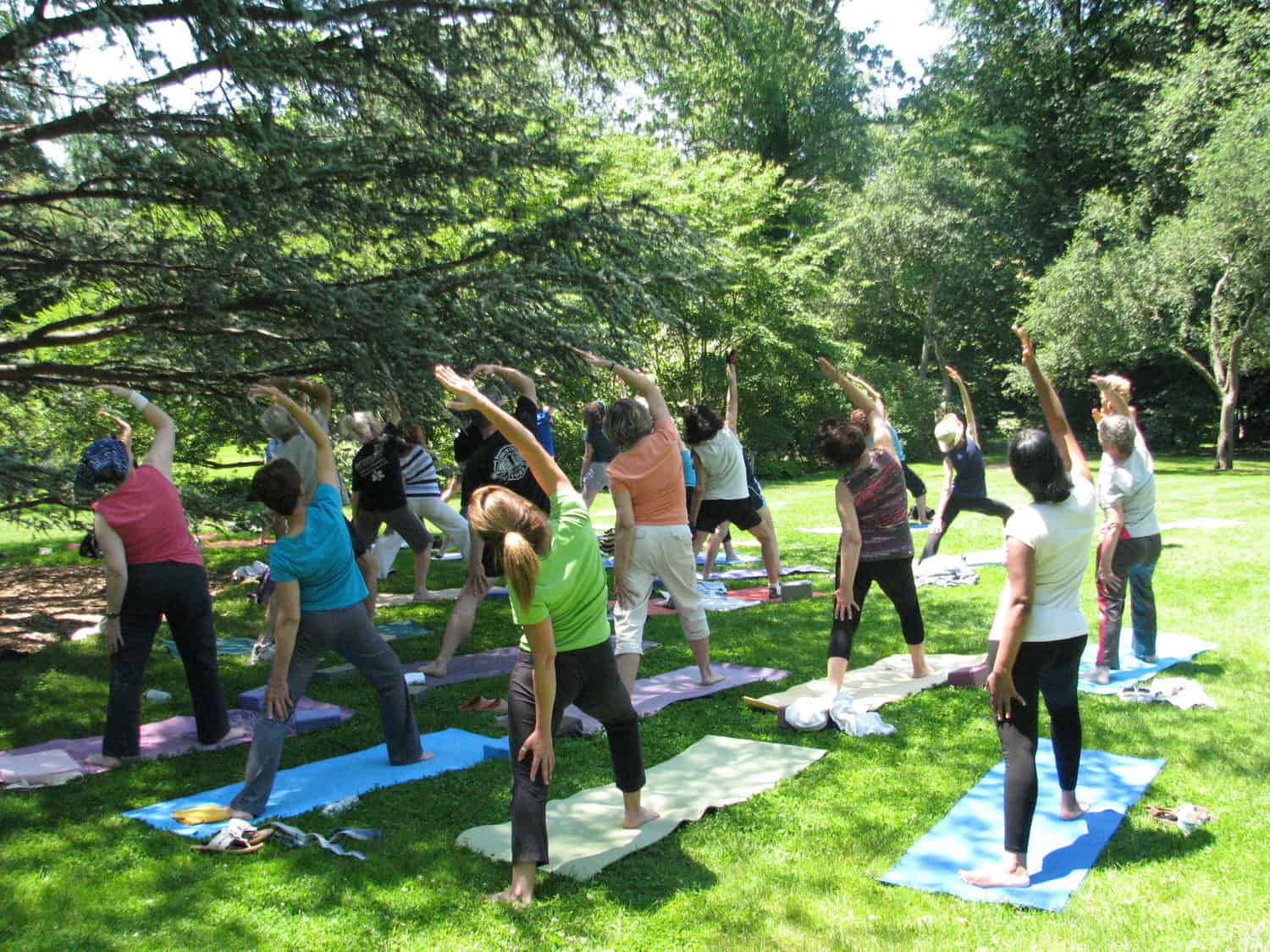Yoga in the Gardens: event artwork or organizer photo
