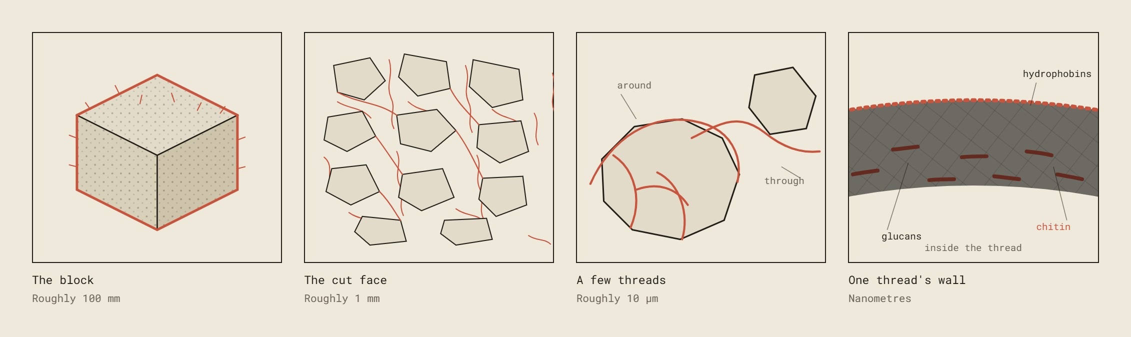 Four schematic panels stepping from the block down to one thread’s wall.
